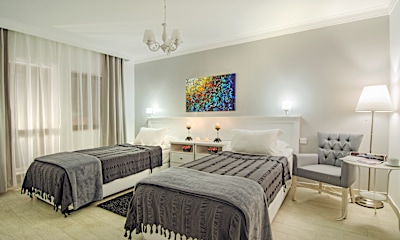 Deluxe Suite İki Ayrı Yataklı Oda